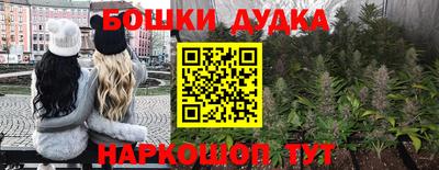 гашик Тверь