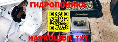 прущие грибы Тара