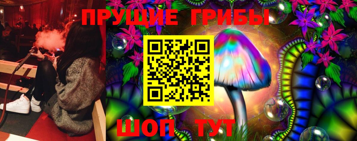 Богданович  Галлюциногенные грибы прущие грибы  цены   Галлюциногенные грибы Cubensis  Вход с VPN 