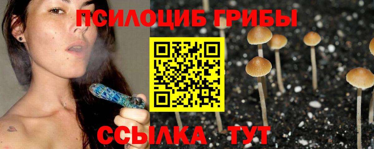 Галлюциногенные грибы Psilocybe Богданович